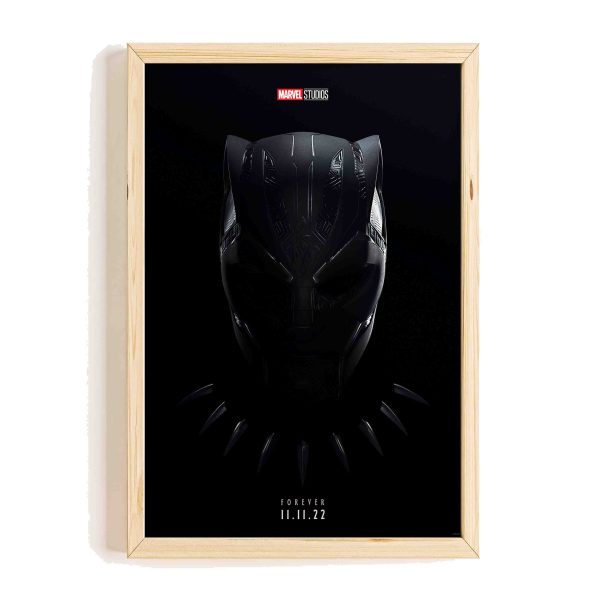 Who Is Black Panther In Wakanda Forever Poster
